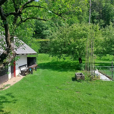 Apartma Fekonja *
