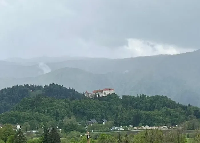 Apartma Fekonja 公寓 布莱德